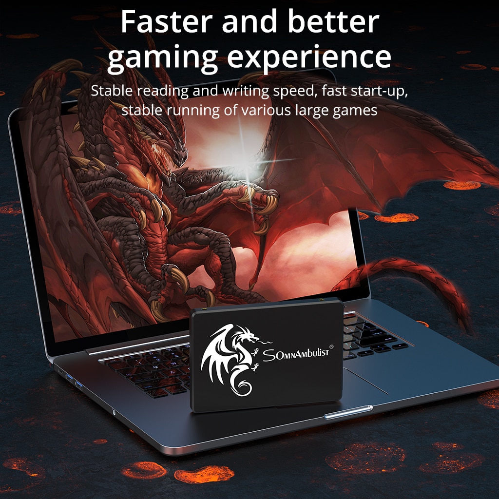 SomnAmbulist SSD 120GB 240GB 4 - Ssd 500Gb review and price