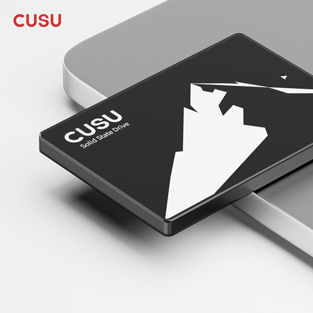 CUSU SSD 1TB 512GB 256GB 128GB - Ssd 500Gb review and price